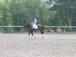 IMG_1390_web